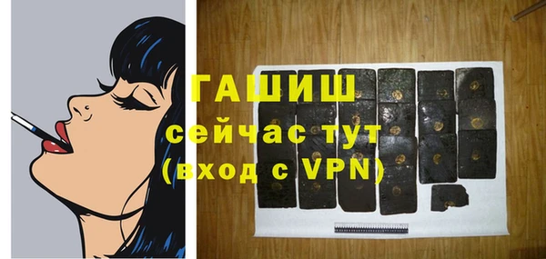 спайс Гусев