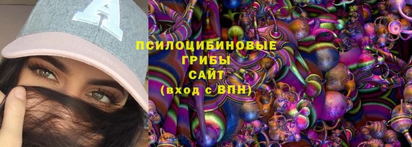 спайс Гусев