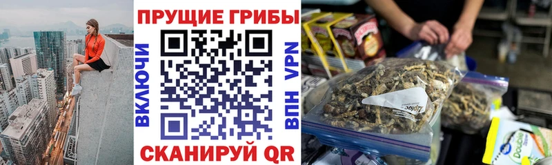 кракен tor  Обь  Галлюциногенные грибы Psilocybe  купить  цена 