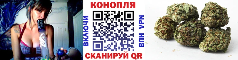 Канабис семена  Обь 